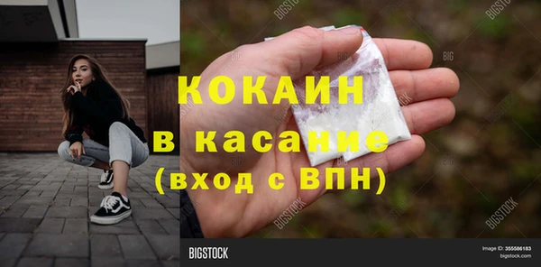 прущие грибы Семикаракорск