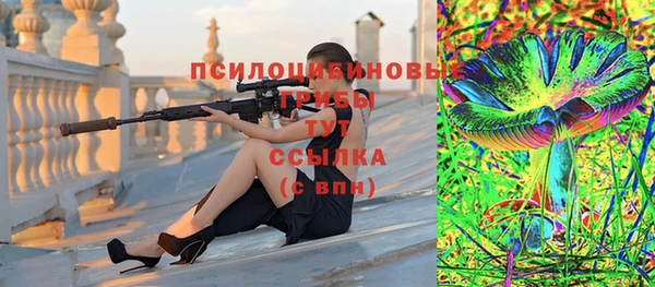 мяу мяу мука Белокуриха