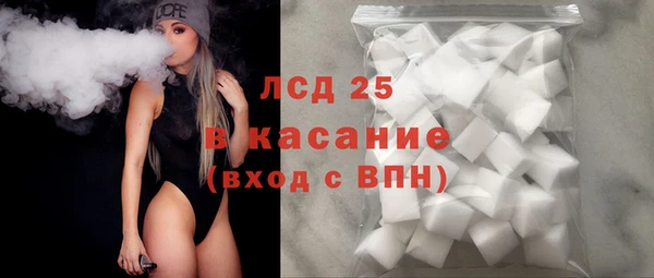 прущие грибы Семикаракорск