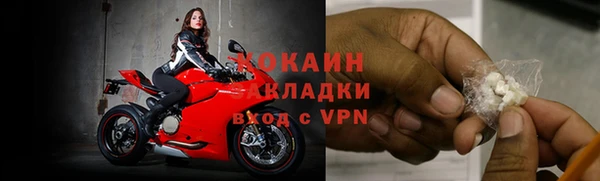 прущие грибы Семикаракорск