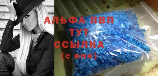 прущие грибы Семикаракорск