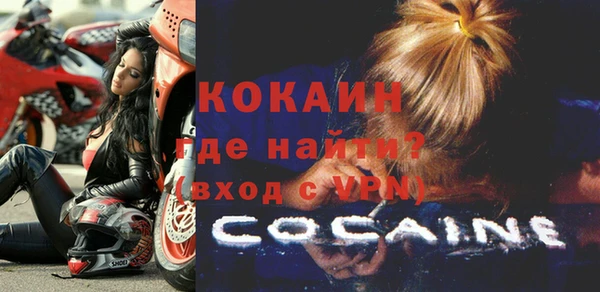 прущие грибы Семикаракорск