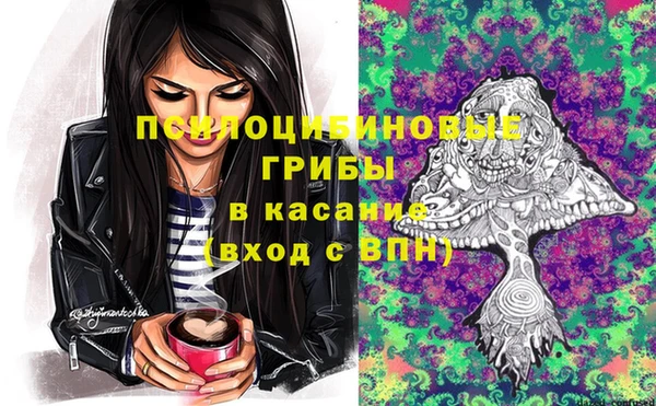 прущие грибы Семикаракорск