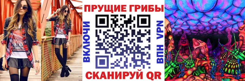 где купить наркоту  Белинский  Галлюциногенные грибы MAGIC MUSHROOMS 